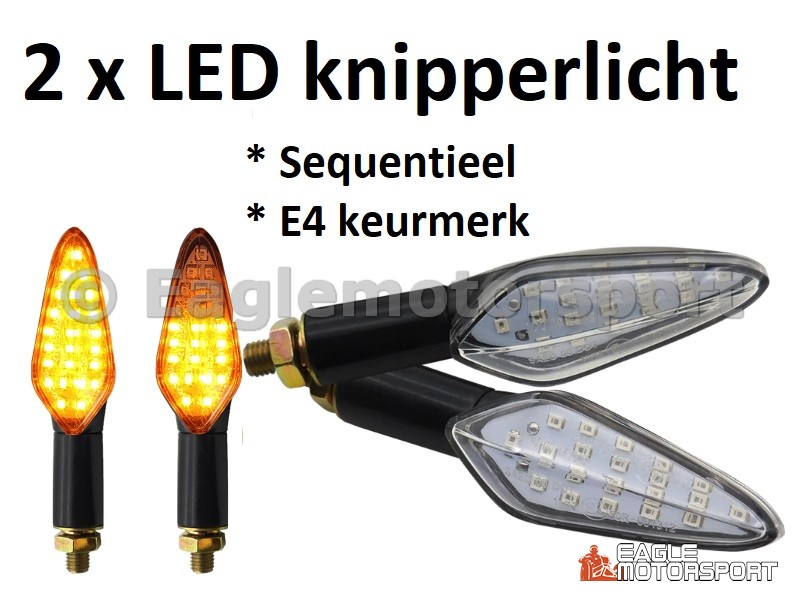 2 x Sequentieel LED knipperlichten E4 (bol)